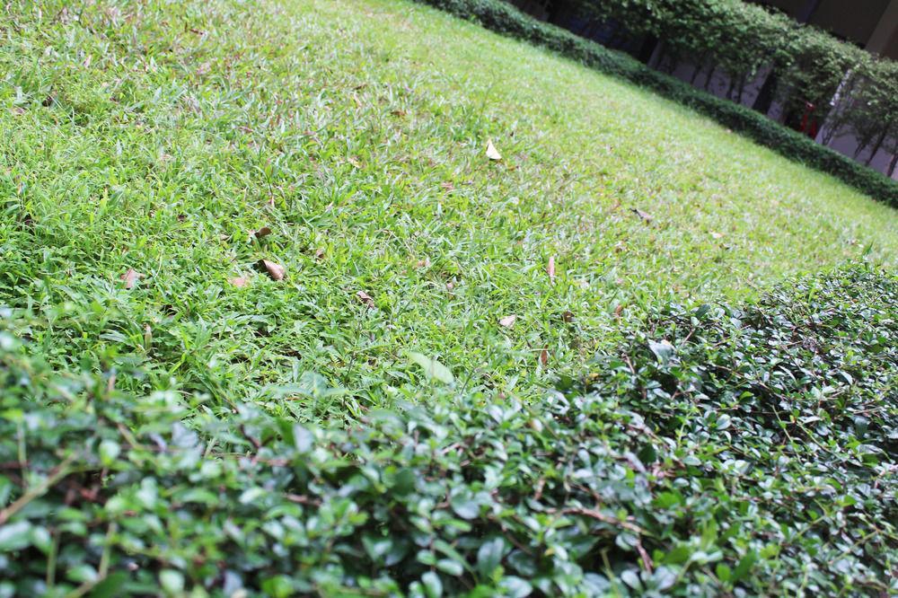 Angkor Riviera Hotel Siem Reap Luaran gambar